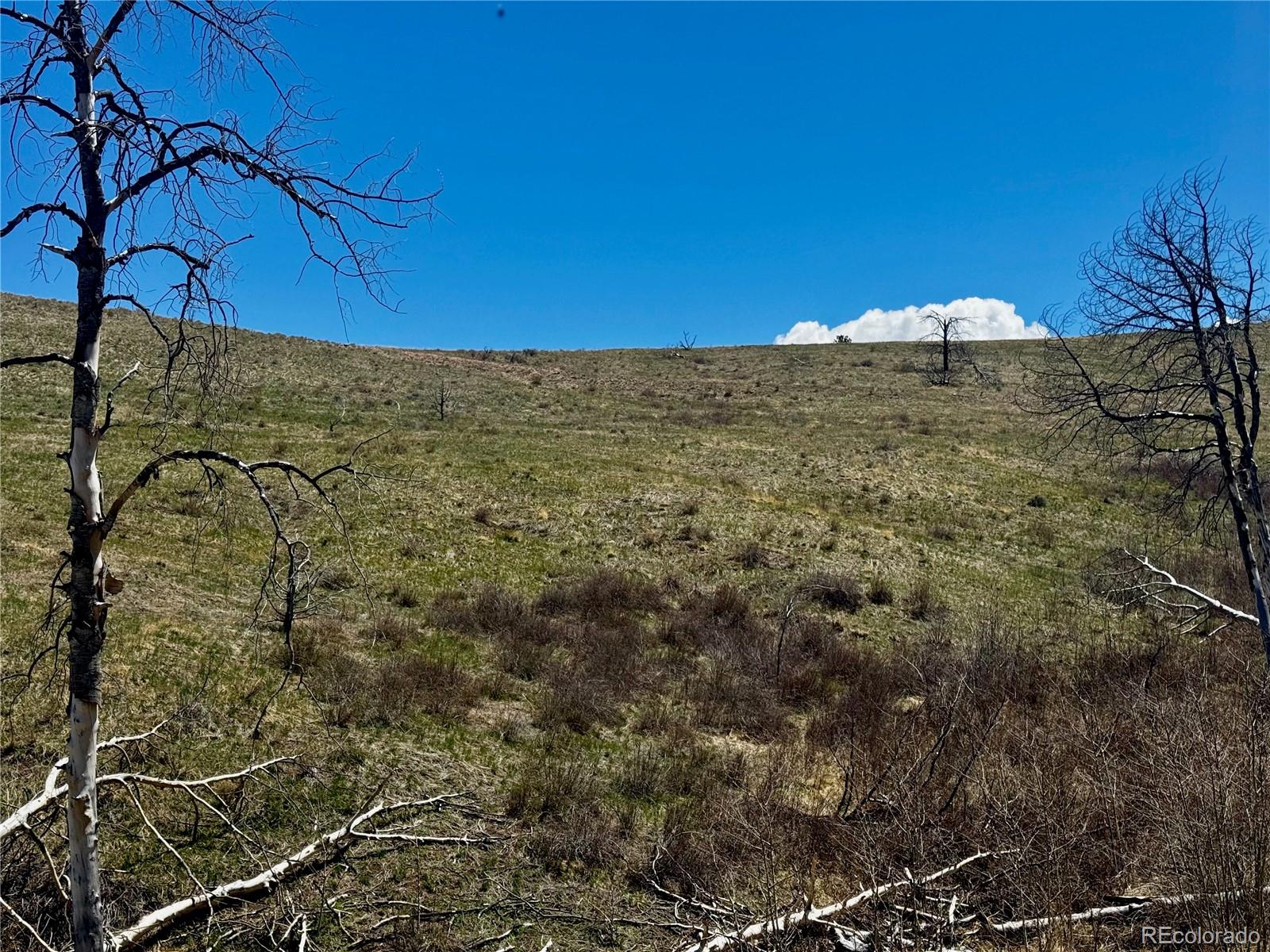Lot 7712 Hallstein Road Fort Garland CO 81133