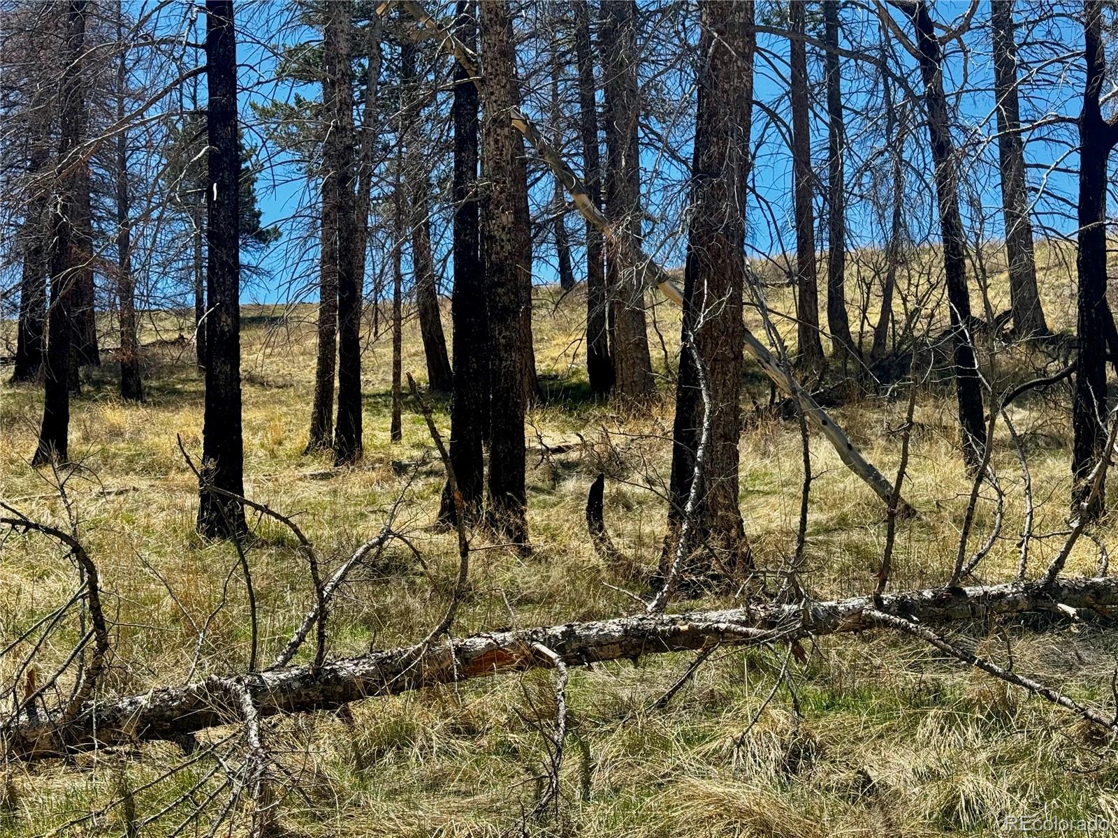 Lot 7712 Hallstein Road Fort Garland CO 81133