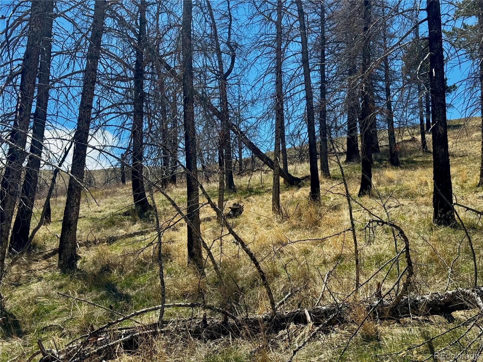 Lot 7712 Hallstein Road Fort Garland CO 81133