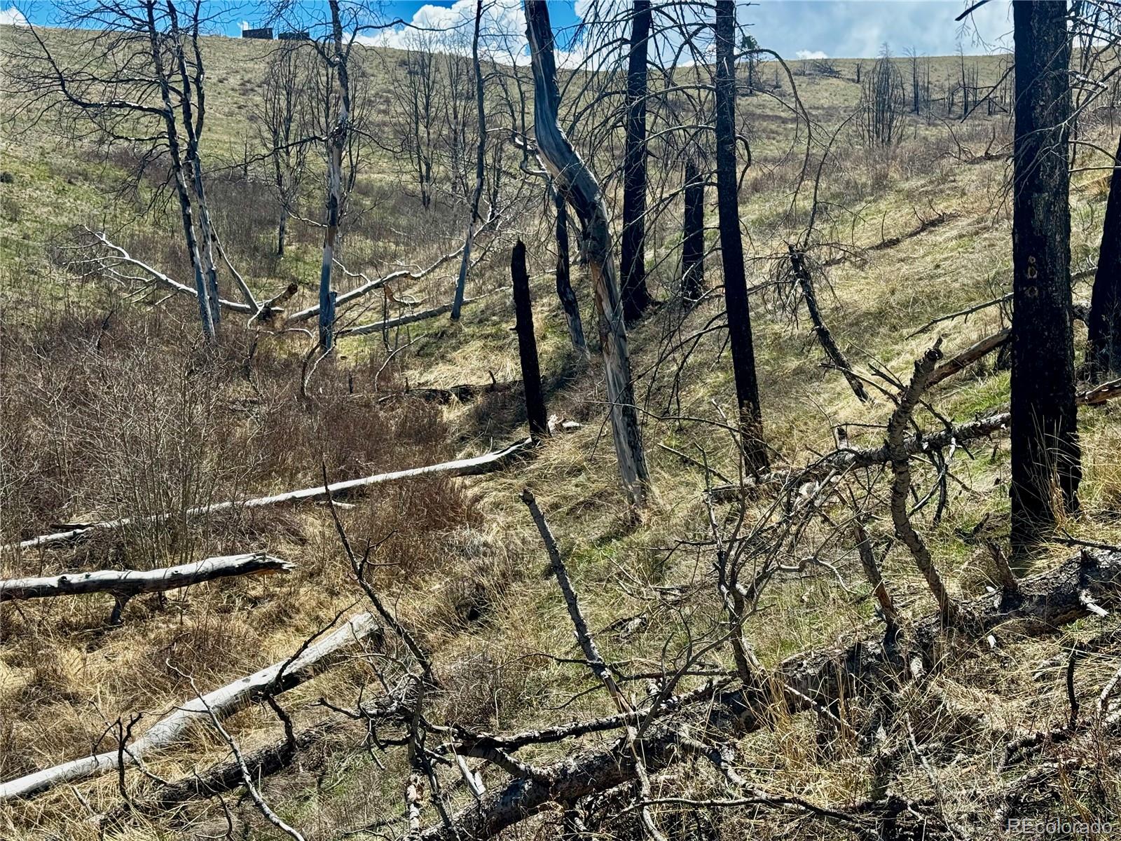 Lot 7712 Hallstein Road Fort Garland CO 81133