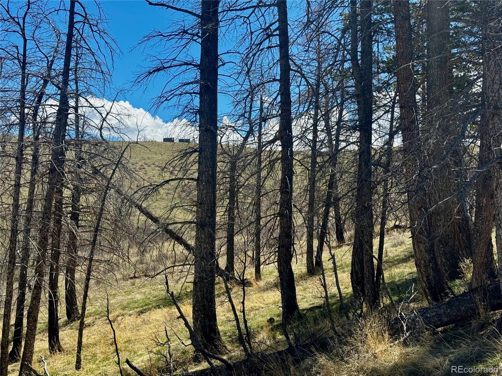 Lot 7712 Hallstein Road Fort Garland CO 81133