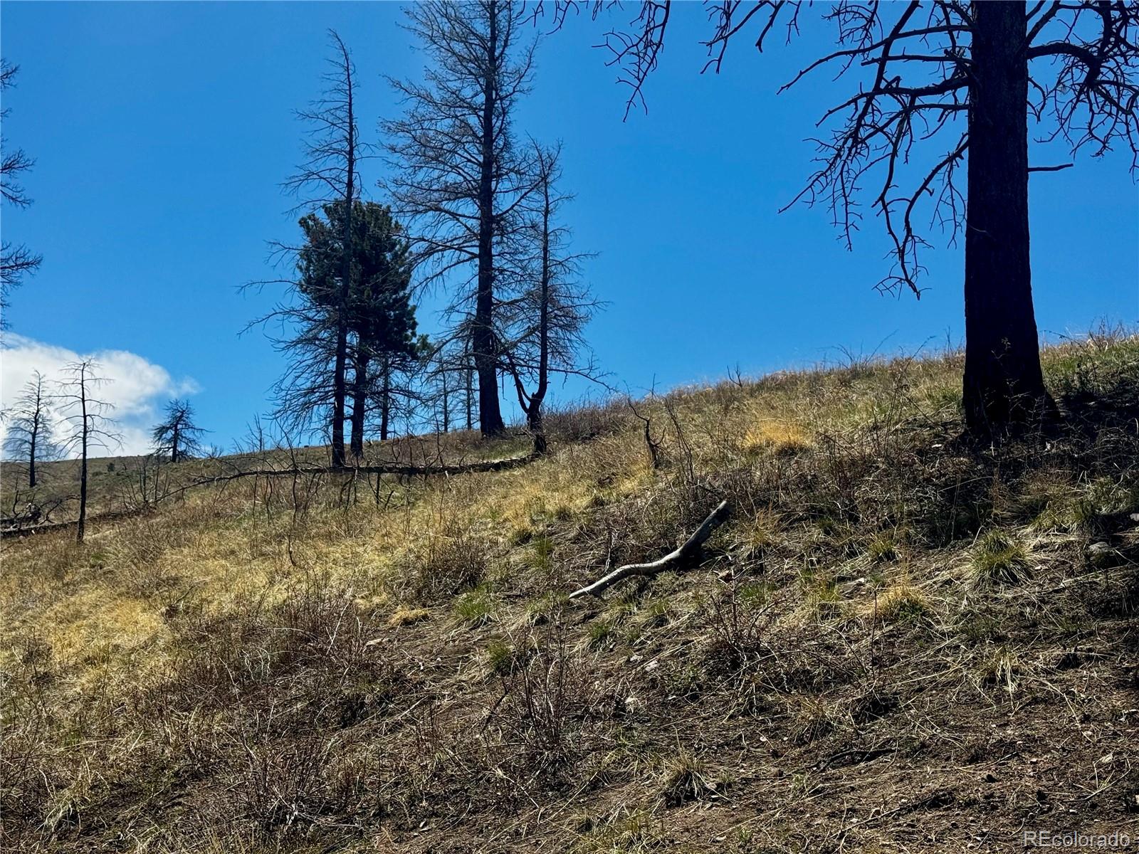 Lot 7712 Hallstein Road Fort Garland CO 81133