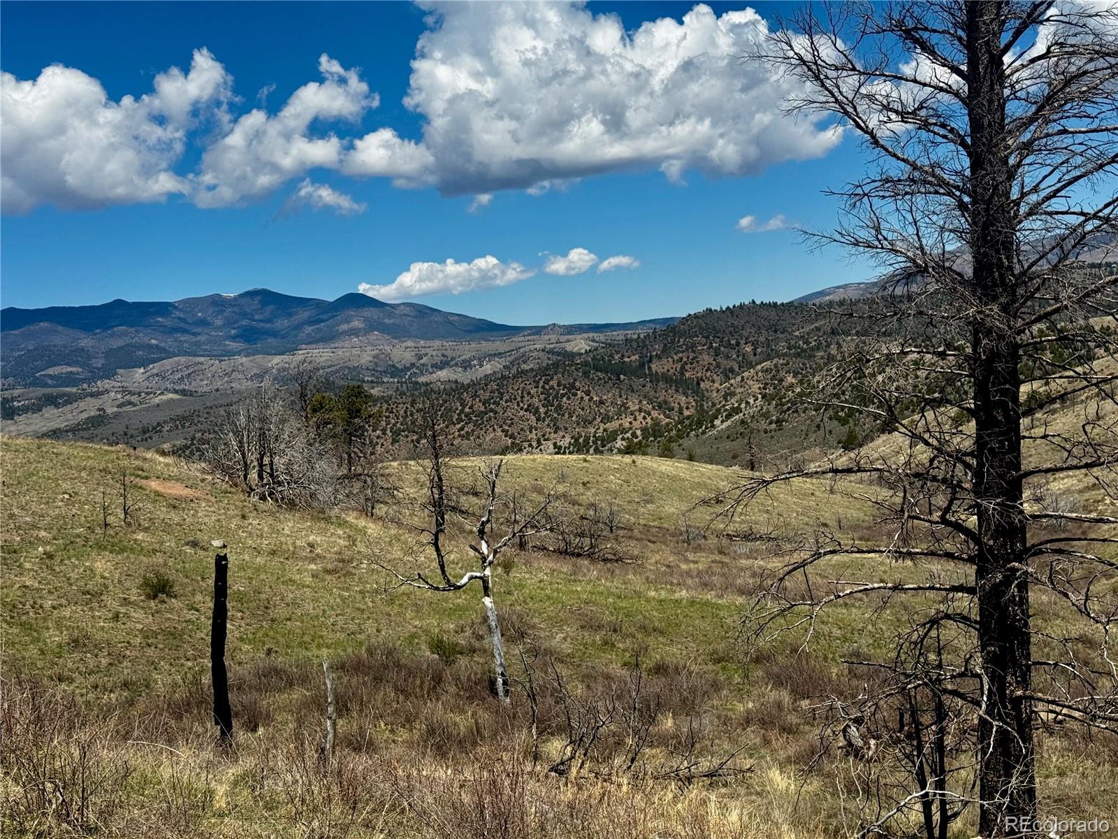 Lot 7712 Hallstein Road Fort Garland CO 81133