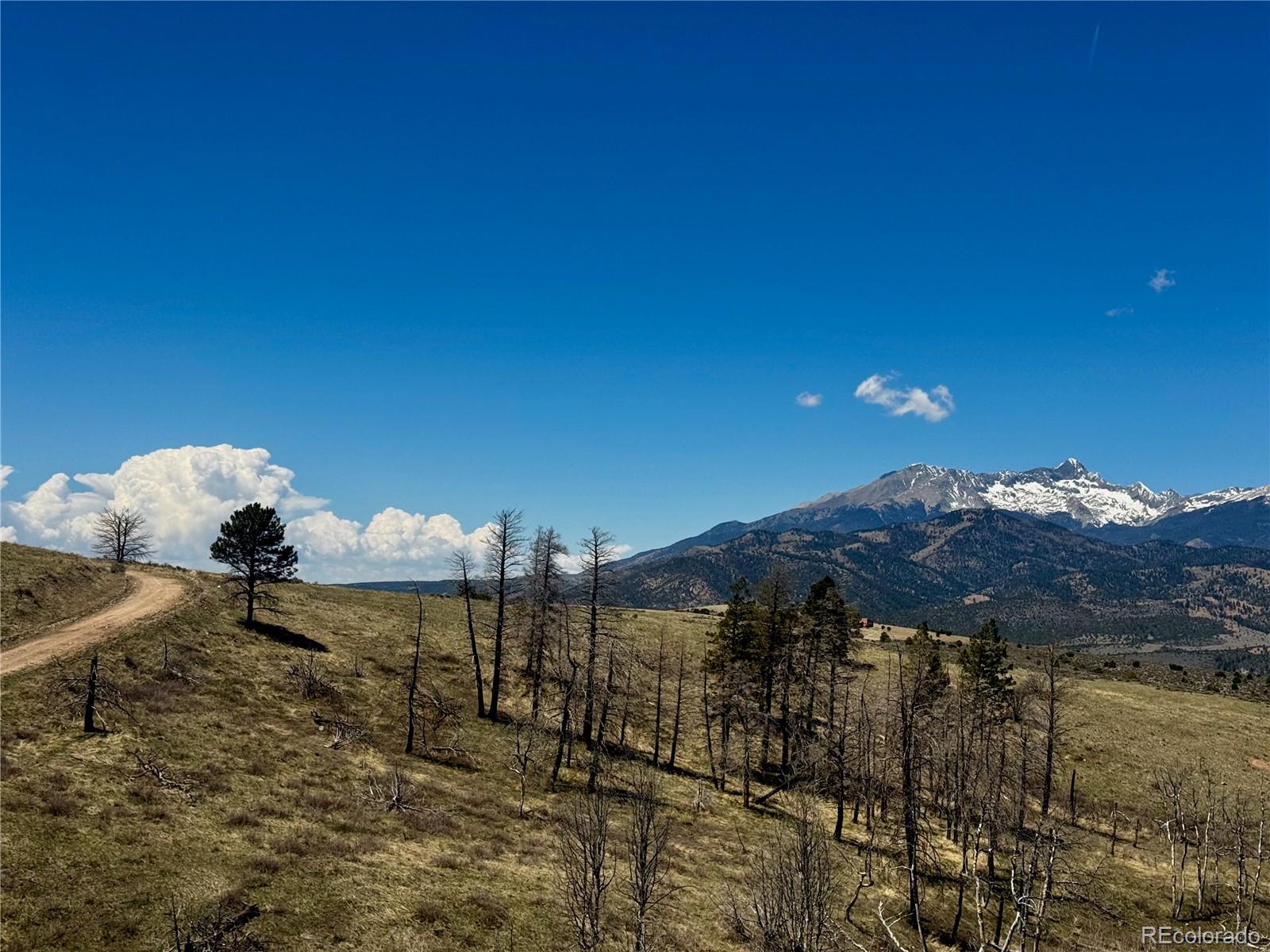 Lot 7712 Hallstein Road Fort Garland CO 81133