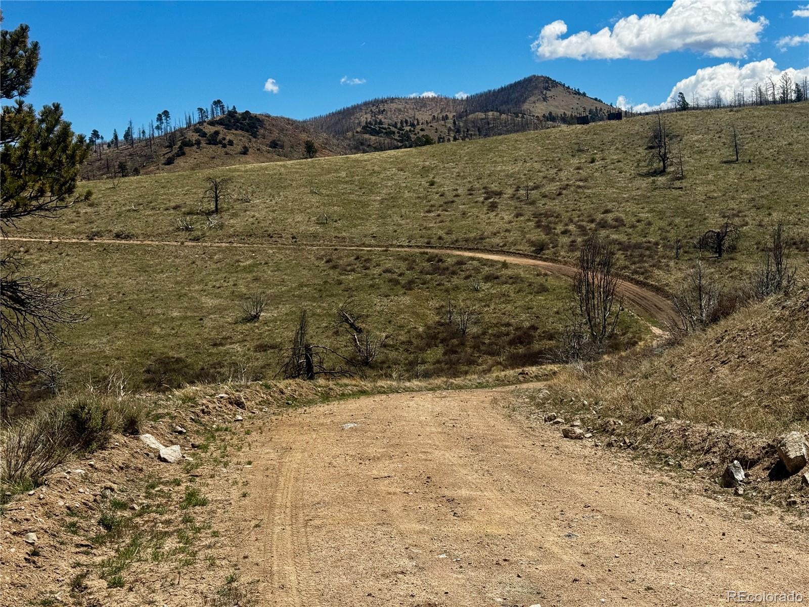 Lot 7712 Hallstein Road Fort Garland CO 81133