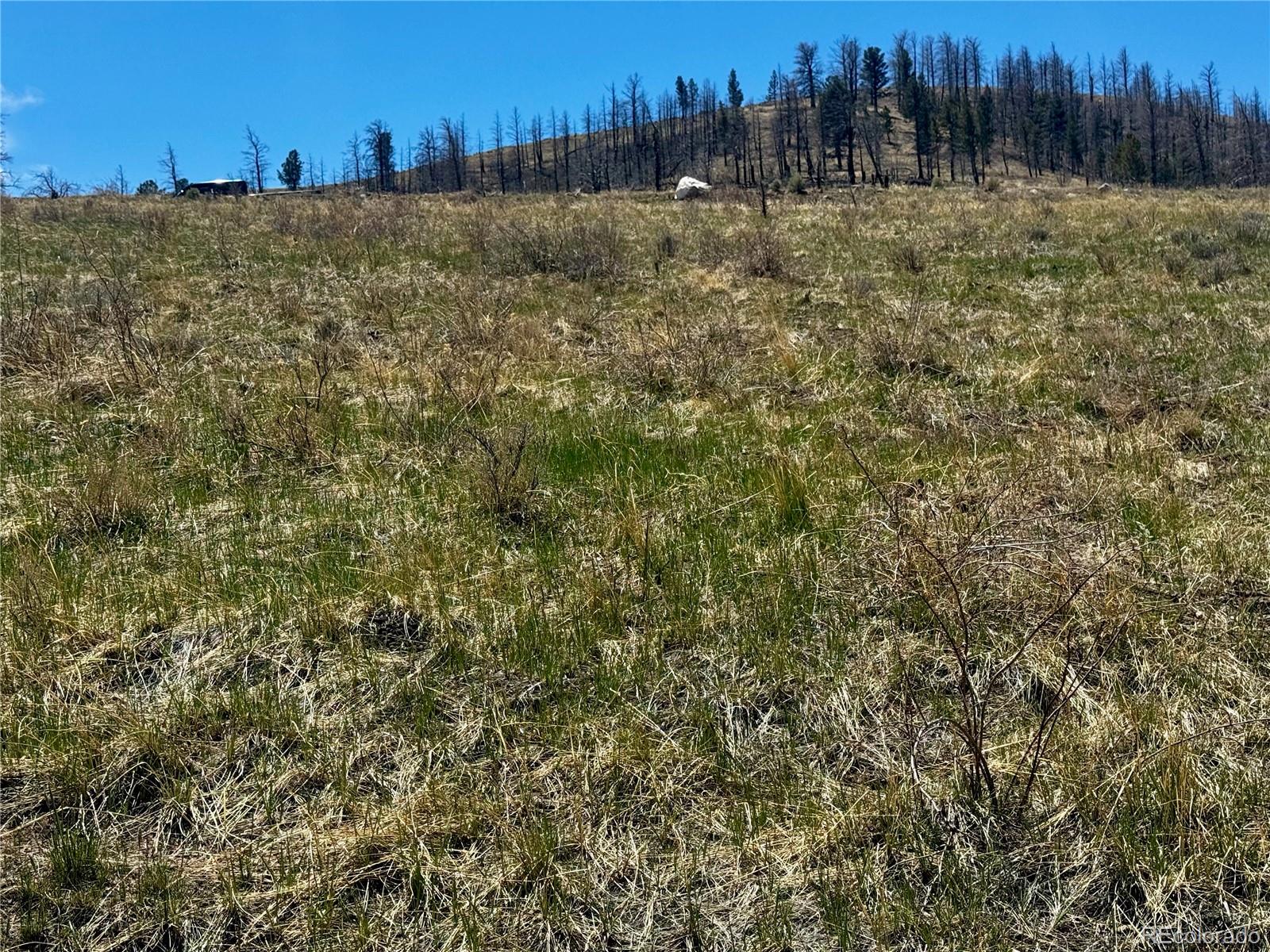 Lot 7712 Hallstein Road Fort Garland CO 81133