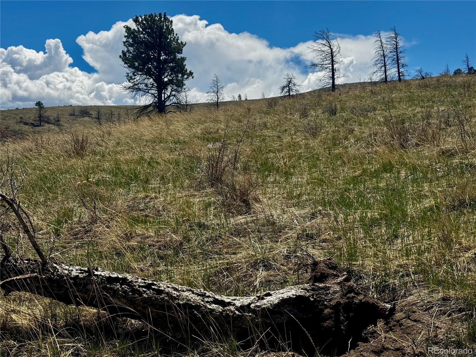 Lot 7712 Hallstein Road Fort Garland CO 81133