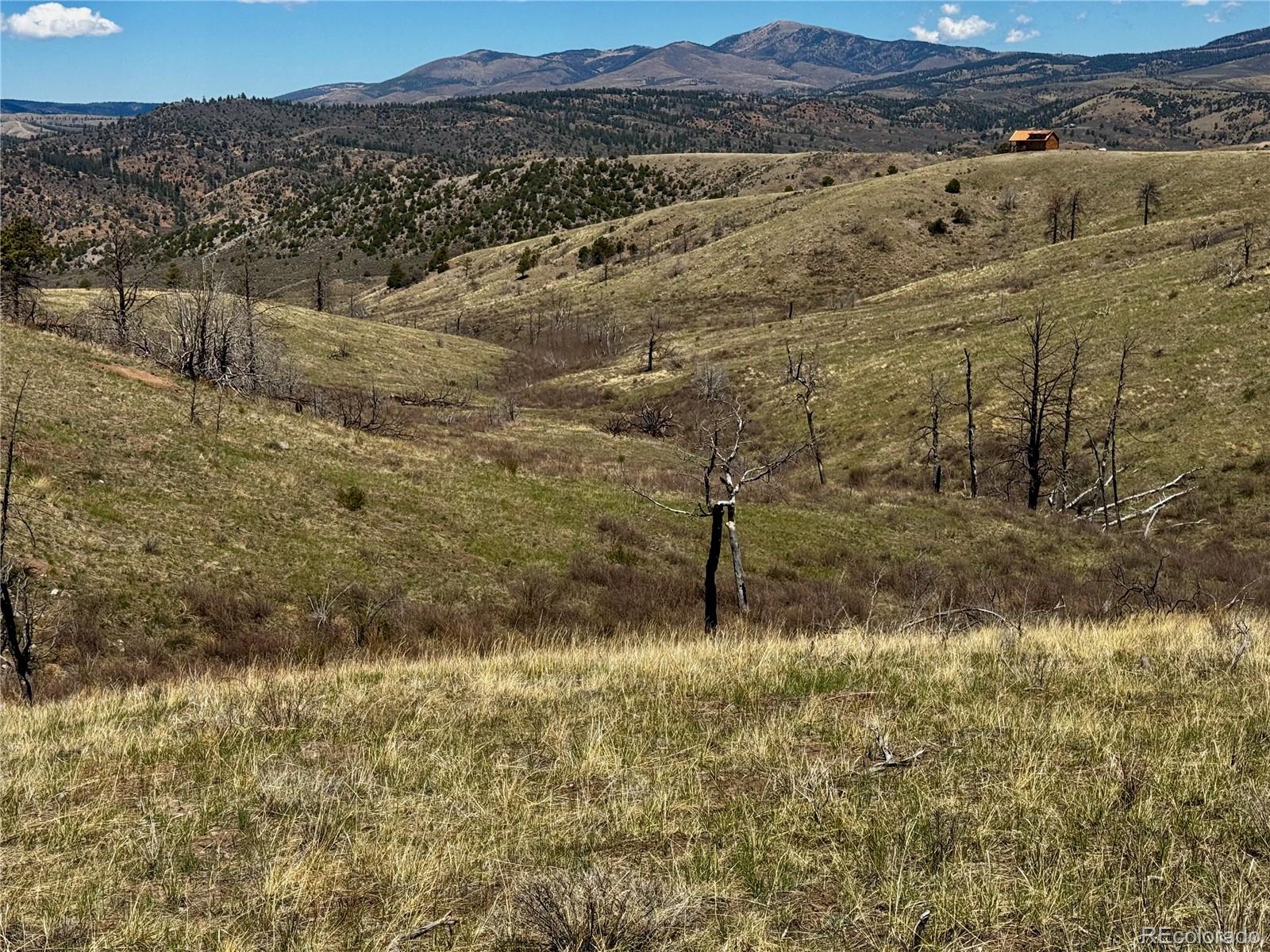 Lot 7712 Hallstein Road Fort Garland CO 81133