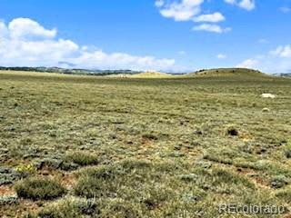 415 Andesite Way Hartsel CO 80456