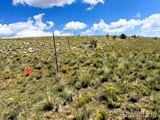 415 Andesite Way Hartsel CO 80456