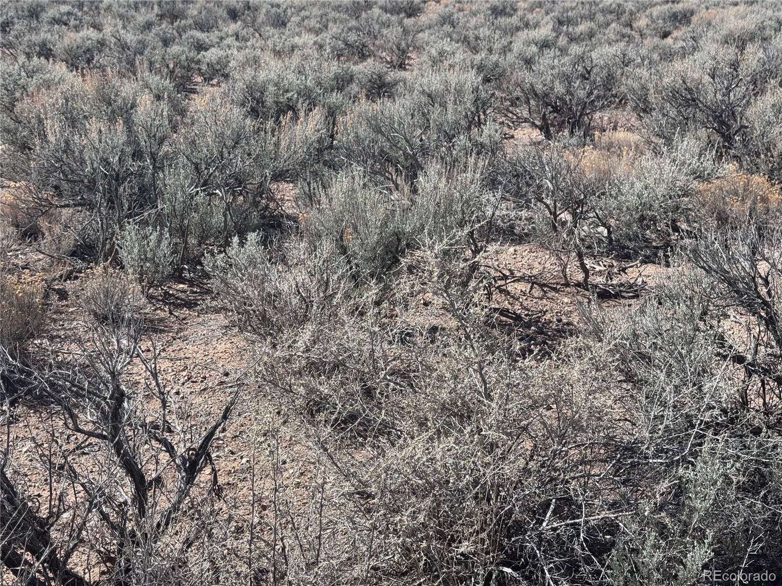 Lot 5 Budweiser Road Fort Garland CO 81133