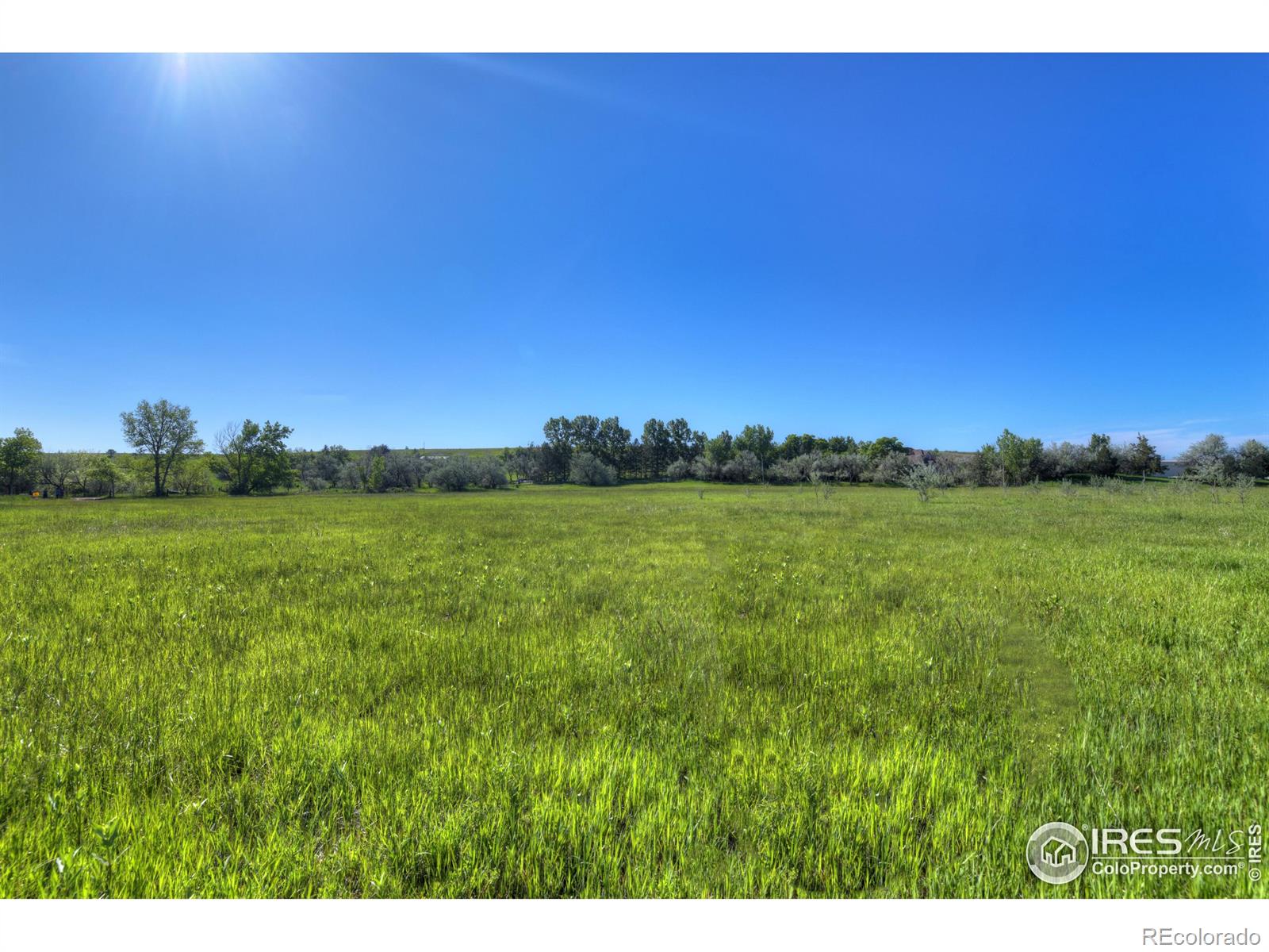 9231 Tollgate Drive Longmont CO 80503