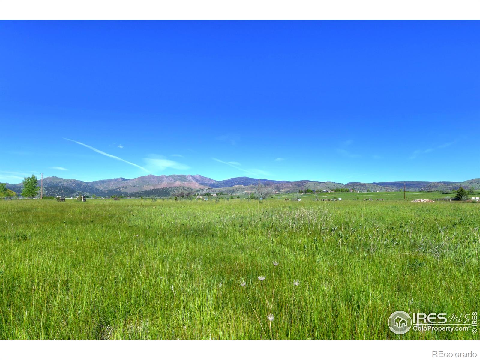 9231 Tollgate Drive Longmont CO 80503