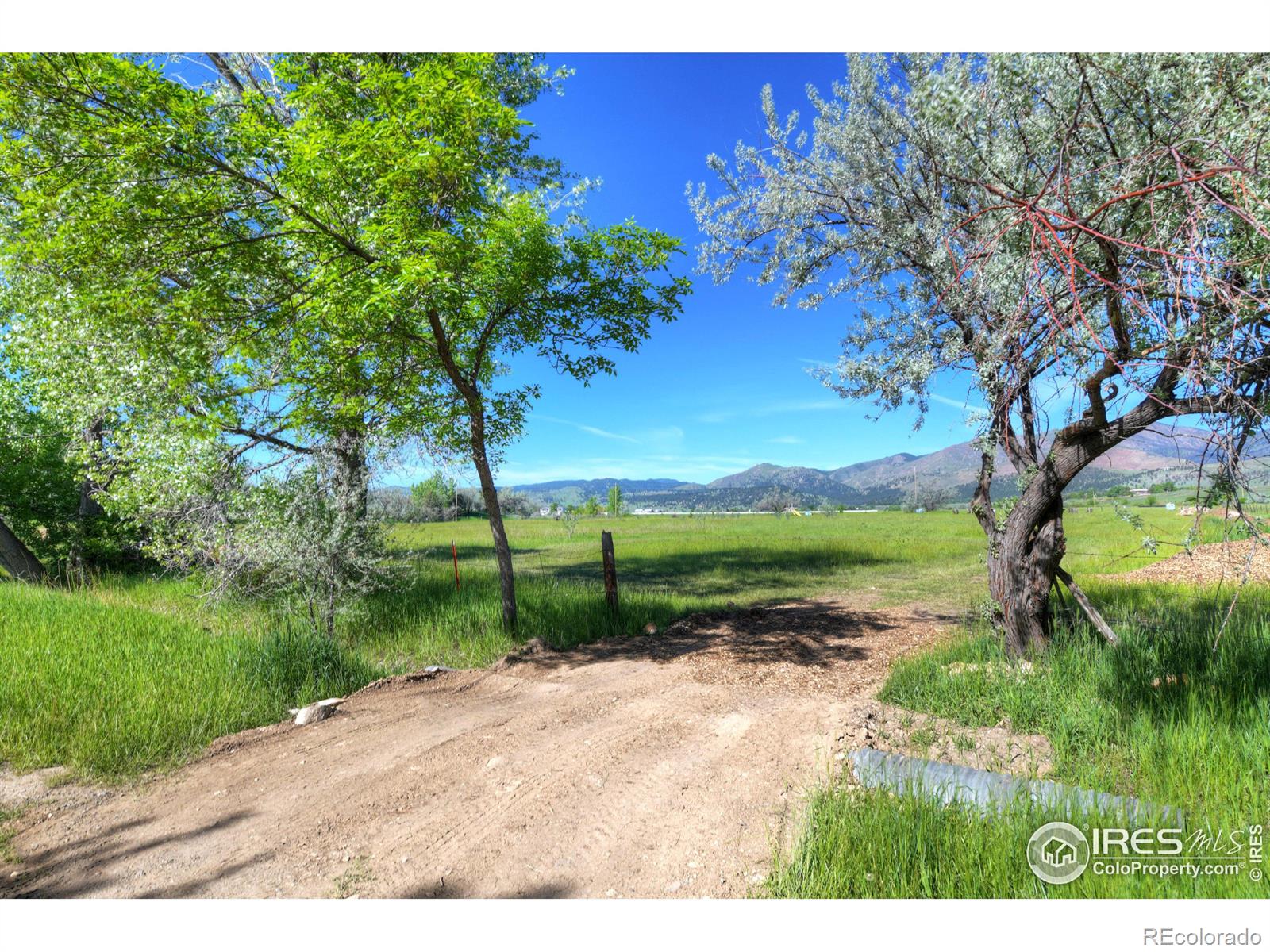 9231 Tollgate Drive Longmont CO 80503