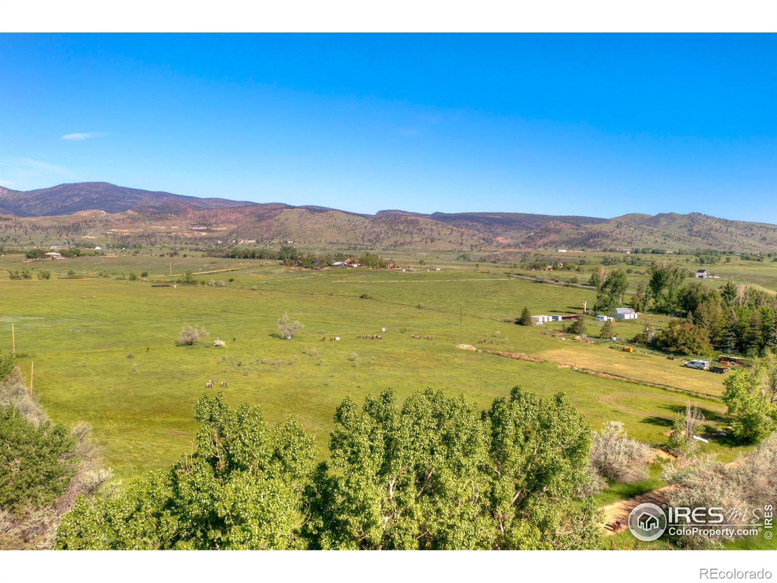 9231 Tollgate Drive Longmont CO 80503