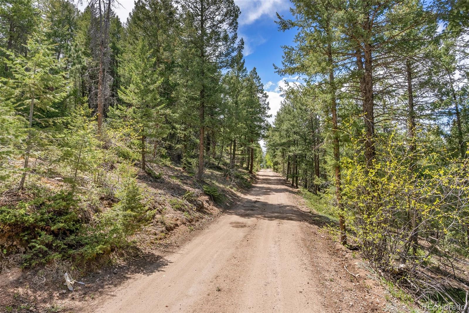 Lost Cabin Trail Evergreen CO 80439