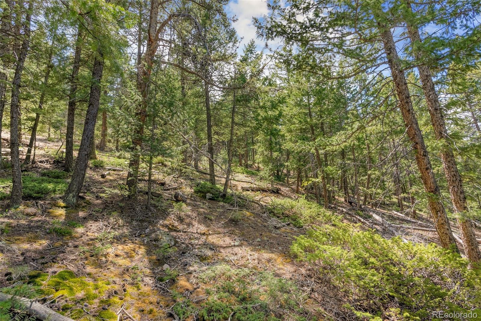 Lost Cabin Trail Evergreen CO 80439