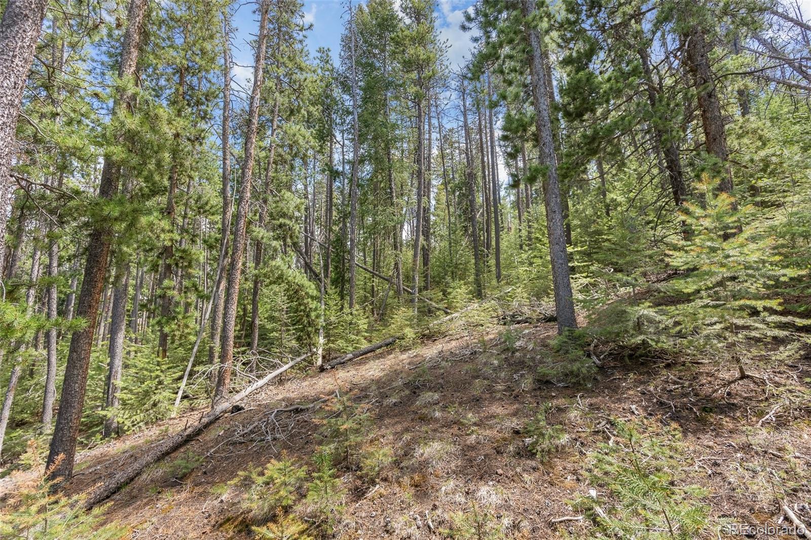 Lost Cabin Trail Evergreen CO 80439