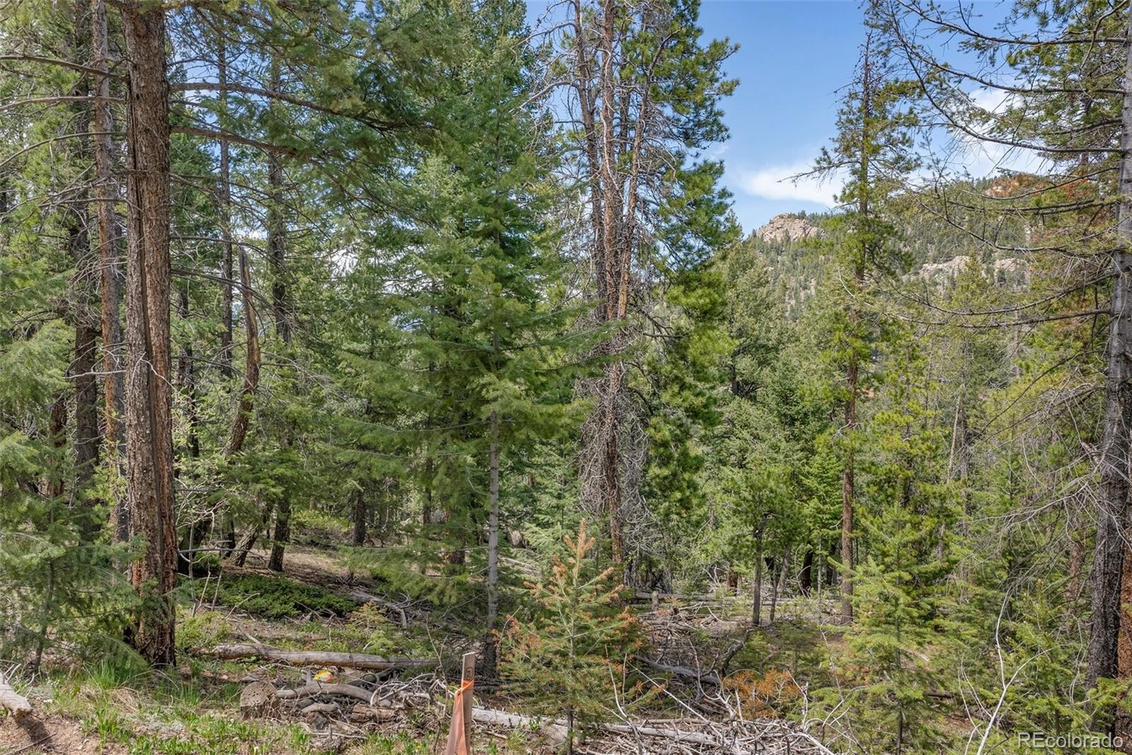 Lost Cabin Trail Evergreen CO 80439
