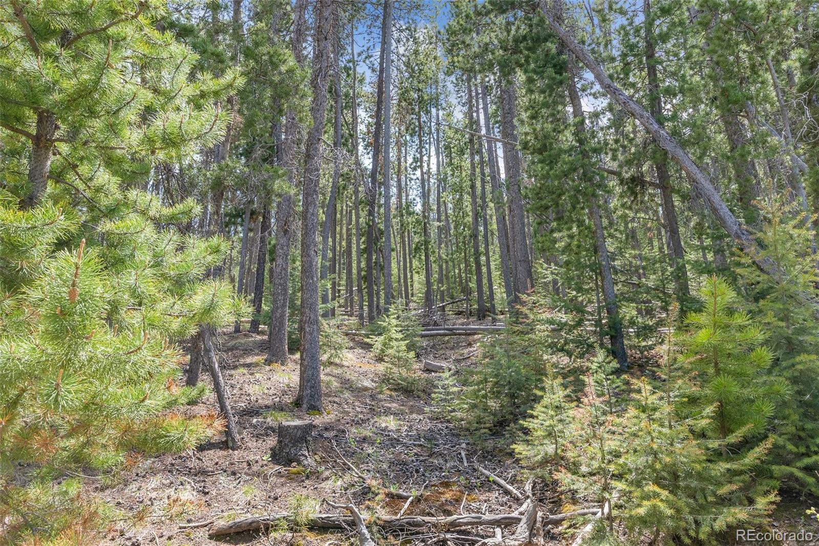 Lost Cabin Trail Evergreen CO 80439