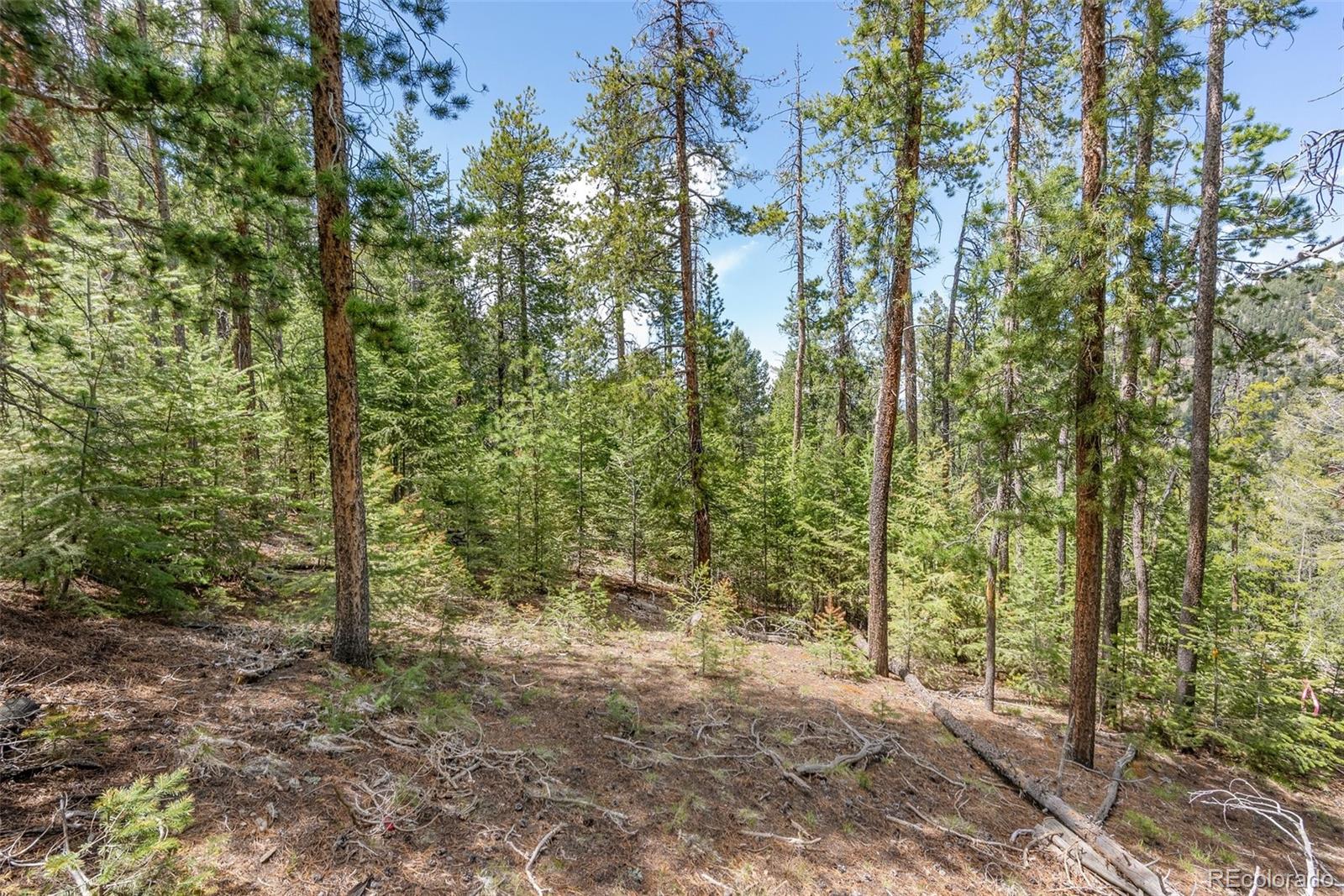 Lost Cabin Trail Evergreen CO 80439