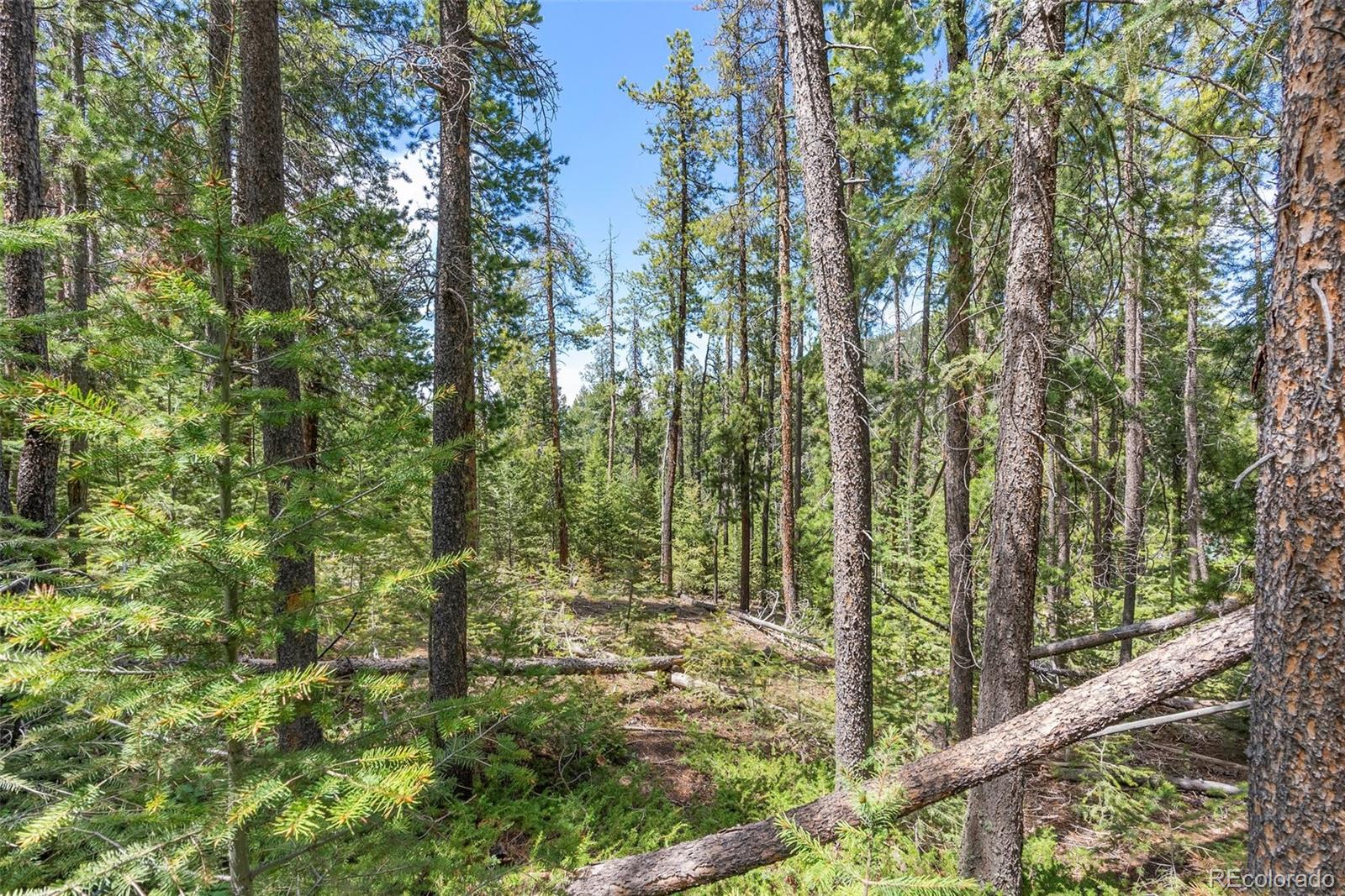 Lost Cabin Trail Evergreen CO 80439