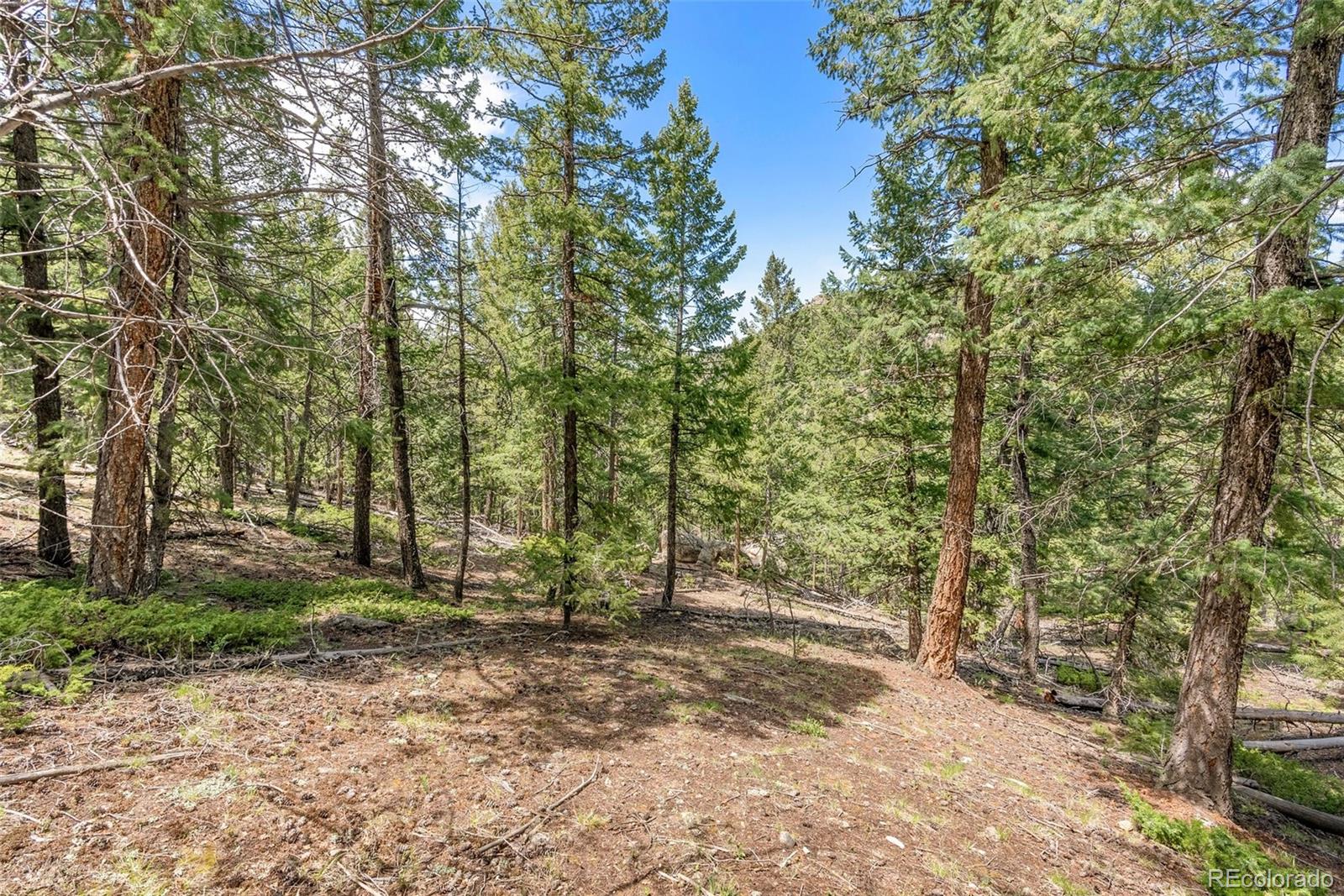 Lost Cabin Trail Evergreen CO 80439