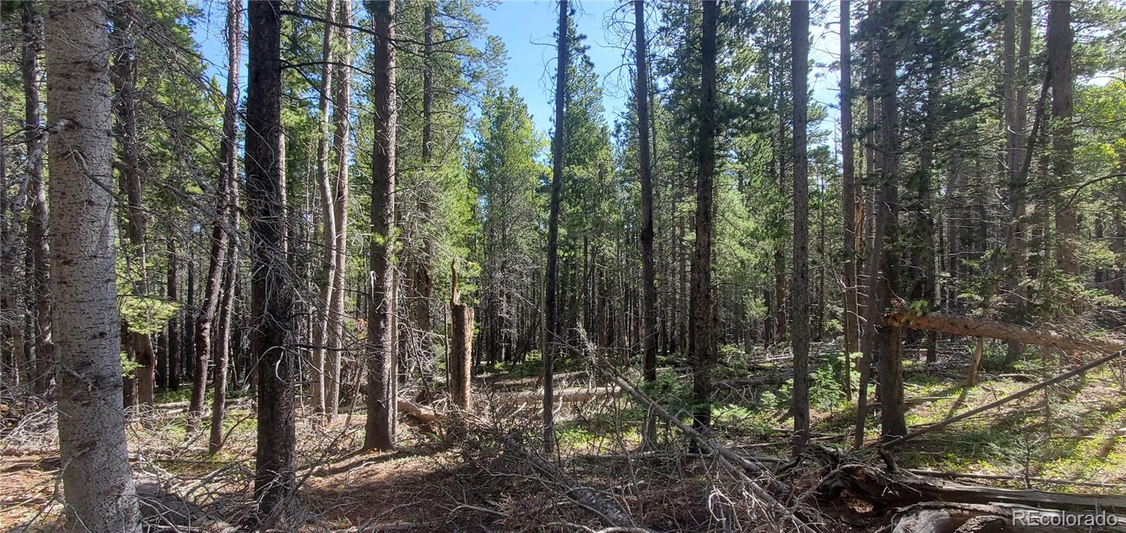 Lot 3031 Bolwell Lane Fort Garland CO 81133