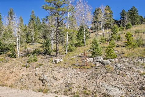 000 Granite Crag Circle Evergreen CO 80439