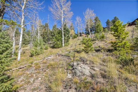 000 Granite Crag Circle Evergreen CO 80439