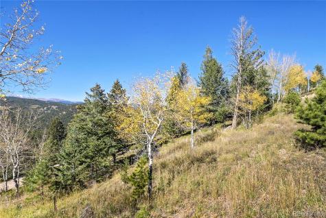 000 Granite Crag Circle Evergreen CO 80439