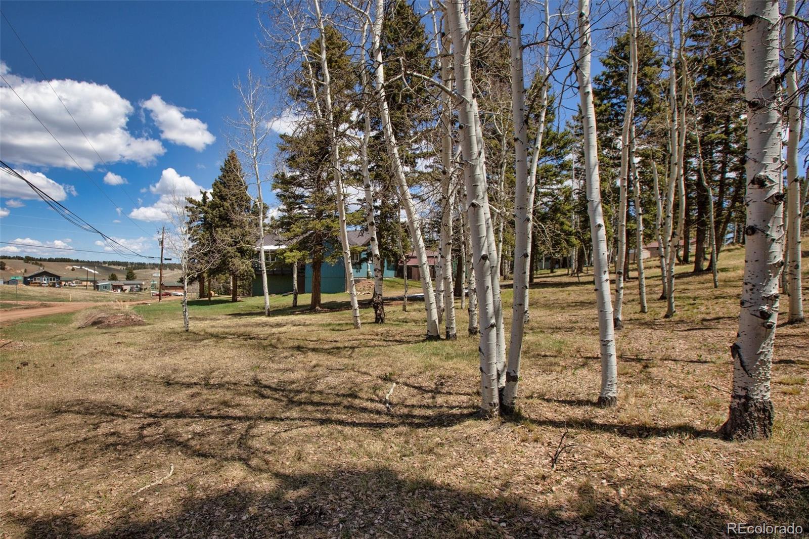 571 Will Scarlet Drive Divide CO 80814