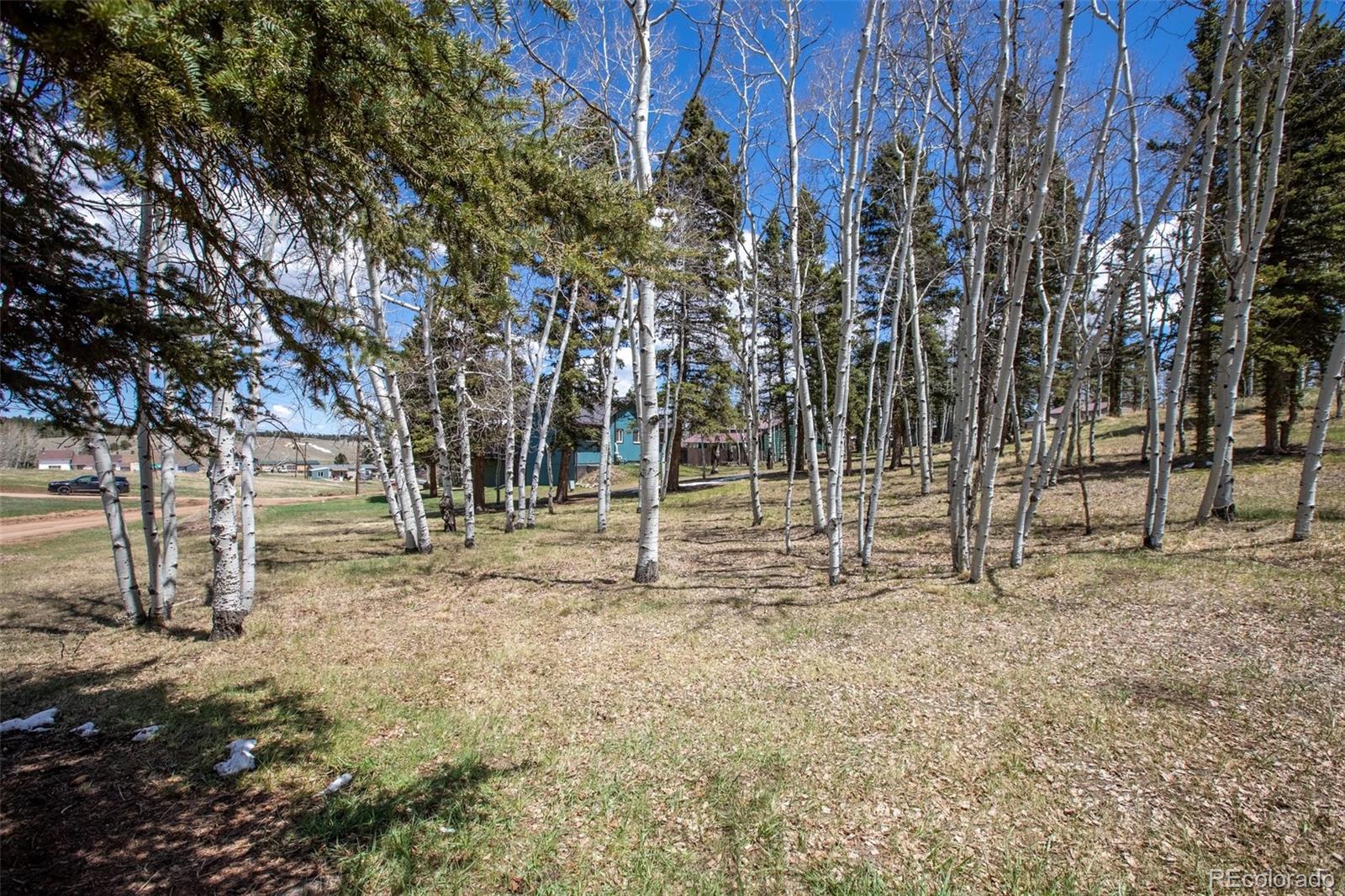 571 Will Scarlet Drive Divide CO 80814