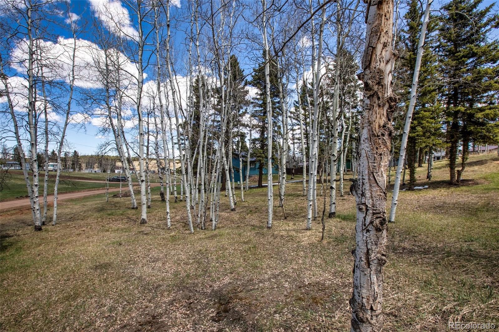 571 Will Scarlet Drive Divide CO 80814