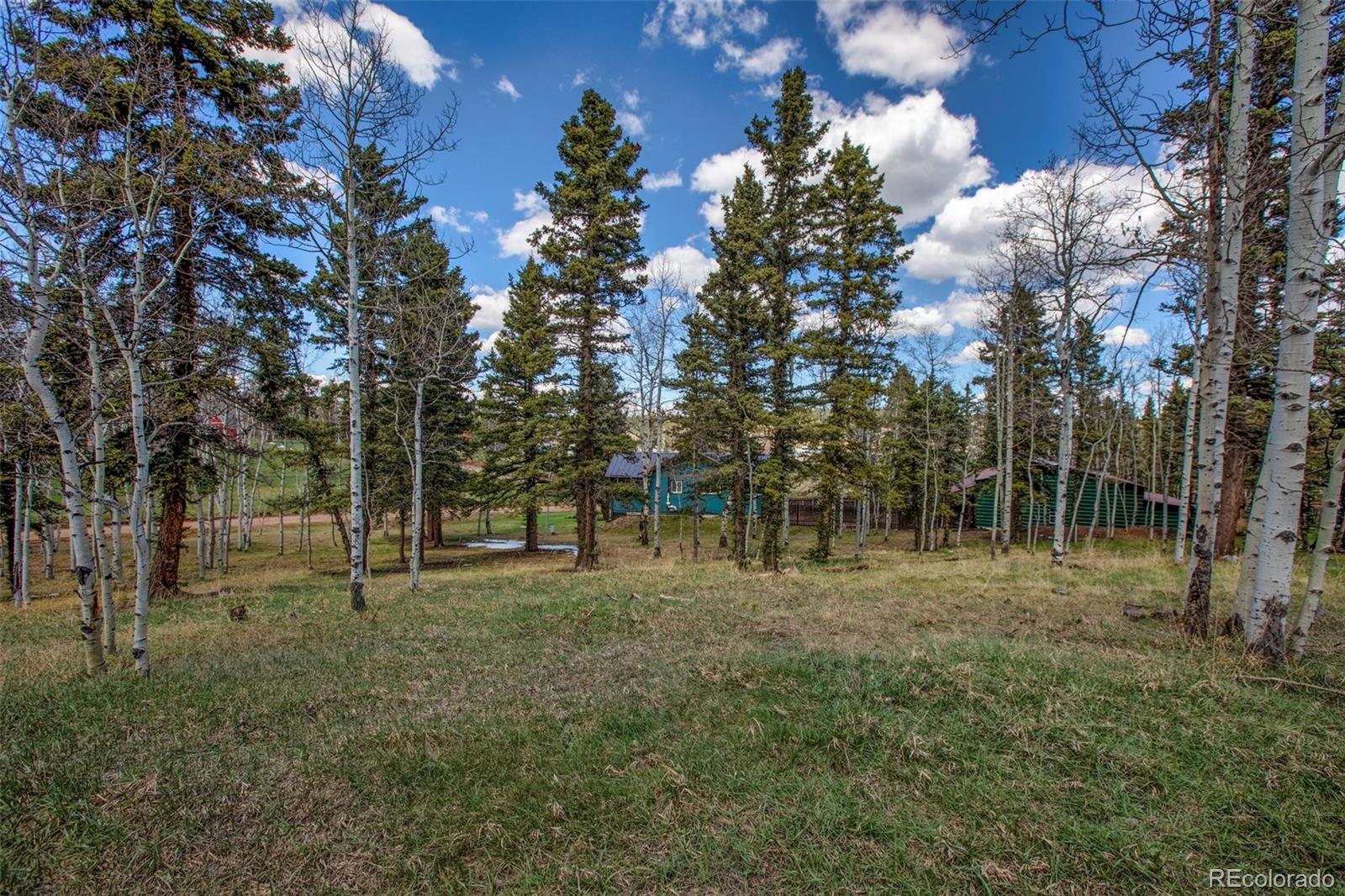 571 Will Scarlet Drive Divide CO 80814