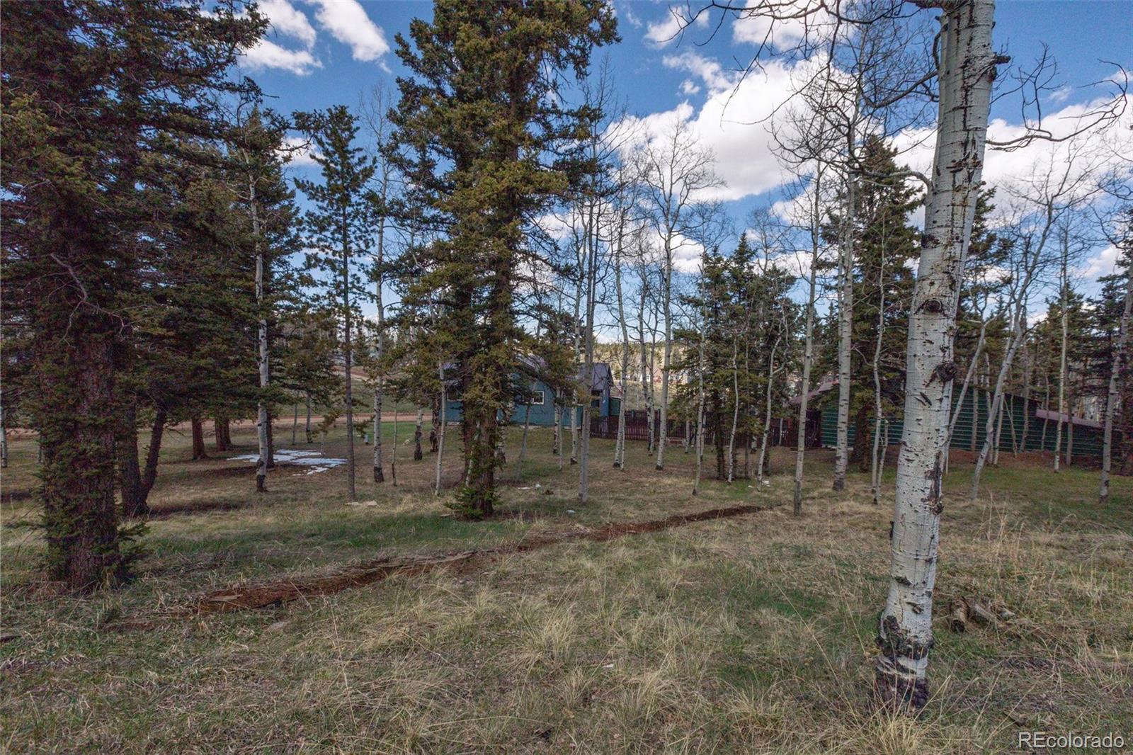 571 Will Scarlet Drive Divide CO 80814