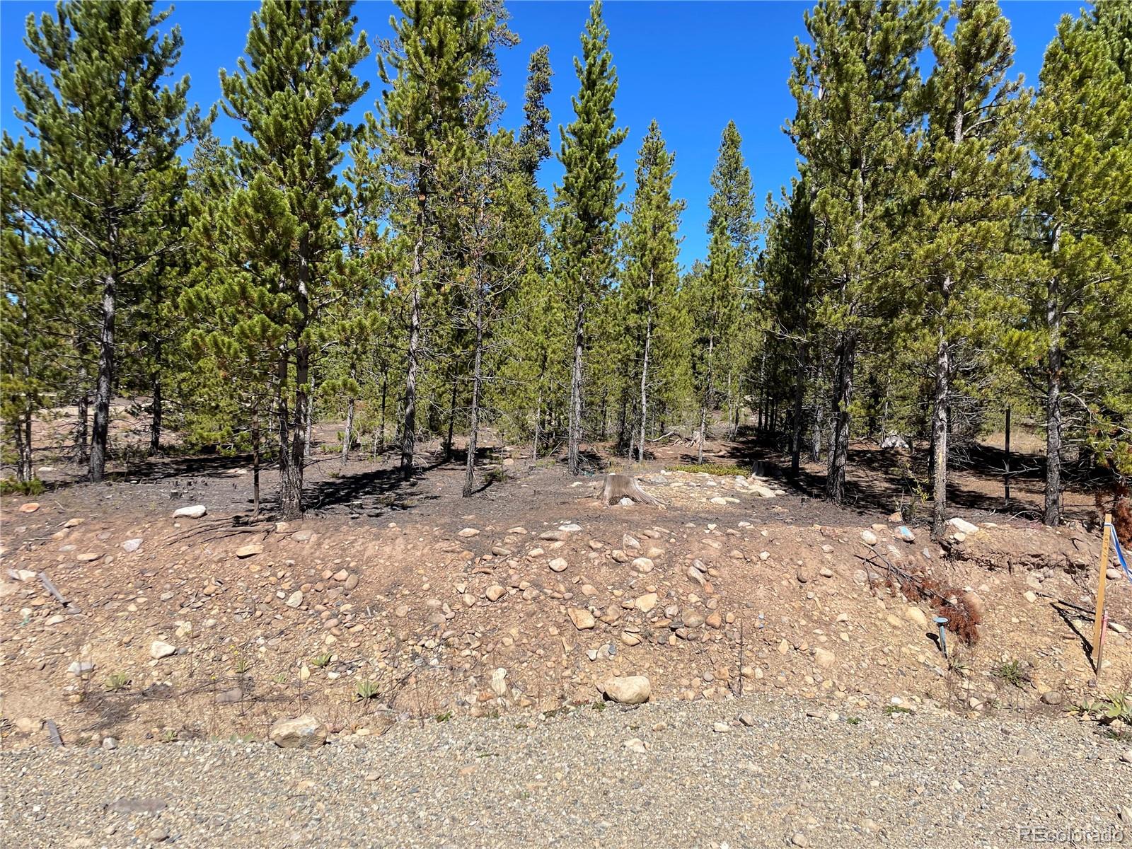 500 Virginia Avenue Leadville CO 80461