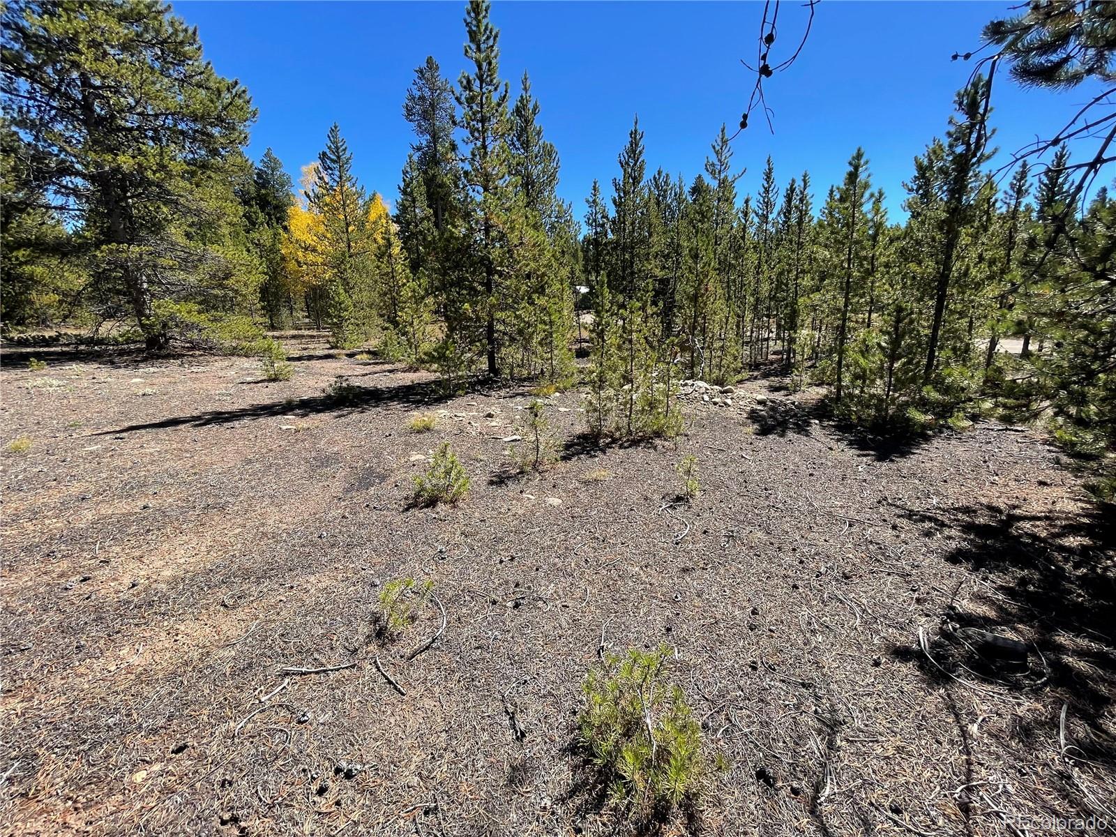 500 Virginia Avenue Leadville CO 80461