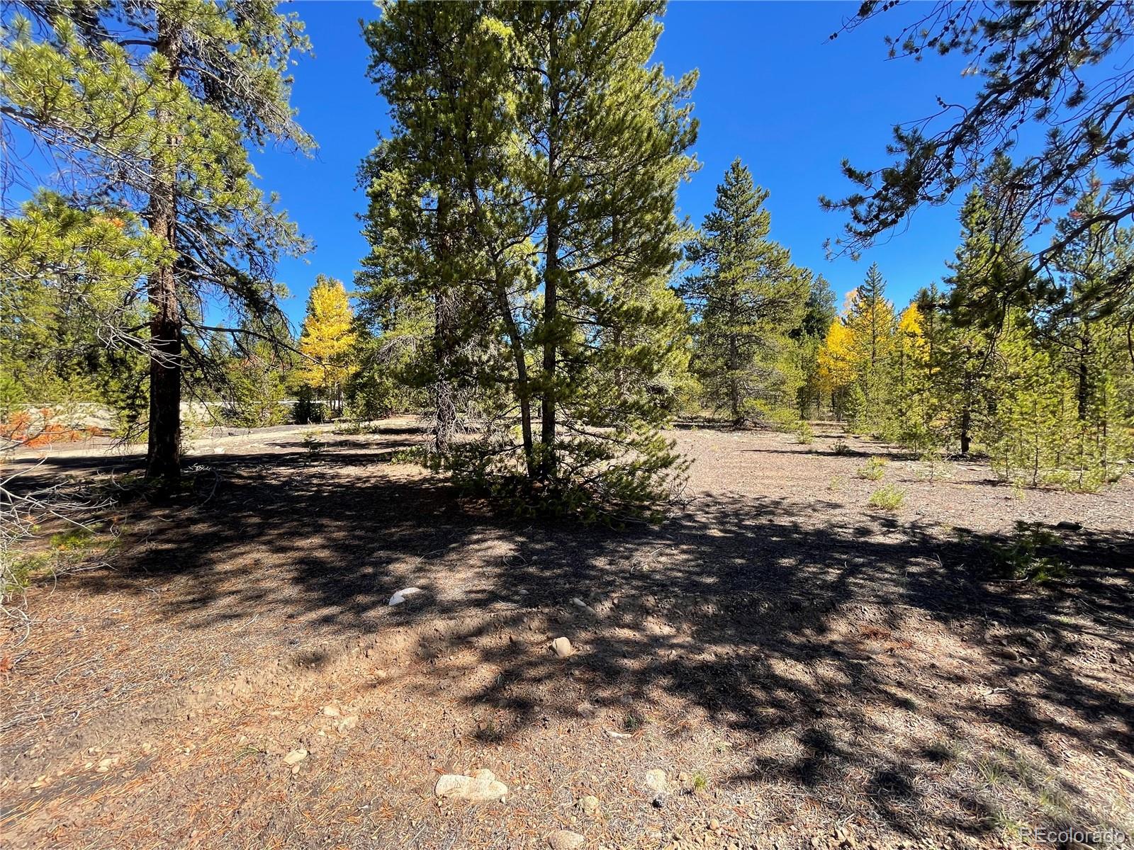 500 Virginia Avenue Leadville CO 80461
