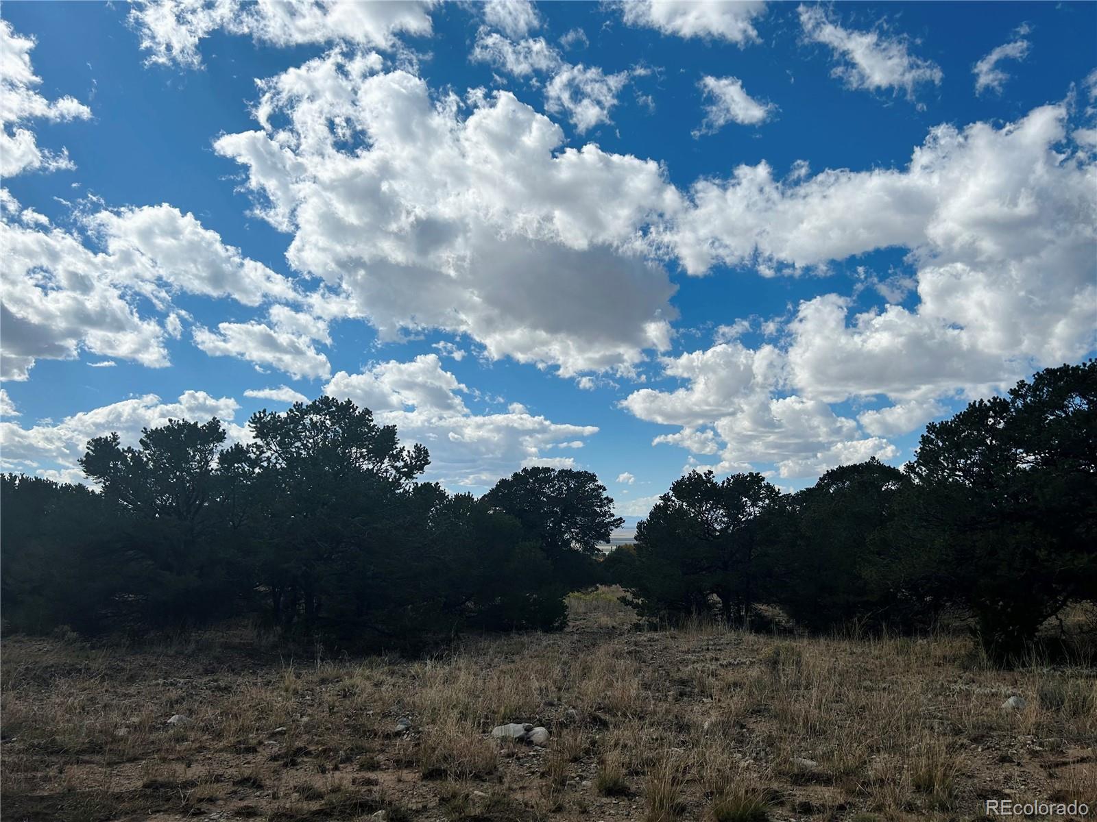112 Eagles Nest Drive Mosca CO 81146