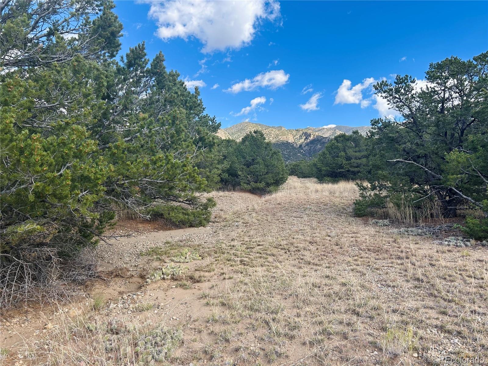 112 Eagles Nest Drive Mosca CO 81146