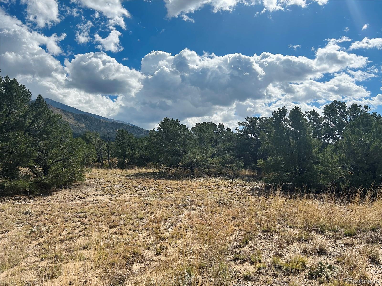 112 Eagles Nest Drive Mosca CO 81146