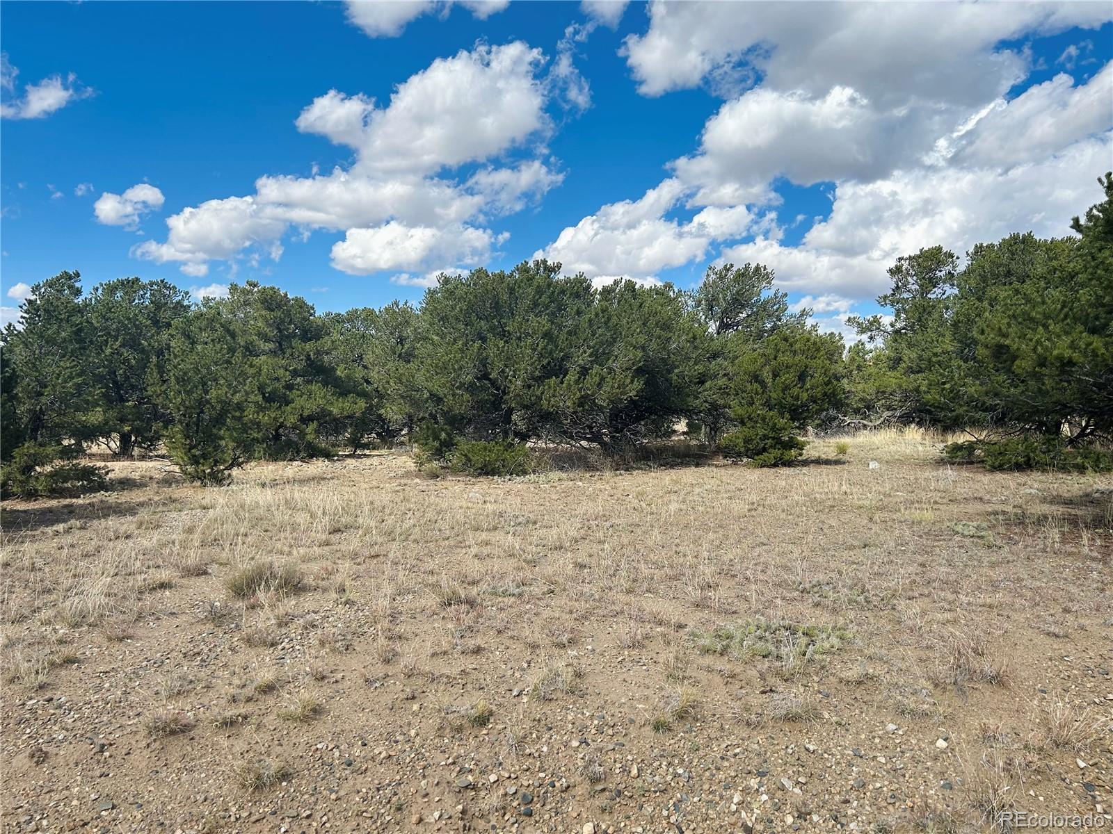 112 Eagles Nest Drive Mosca CO 81146