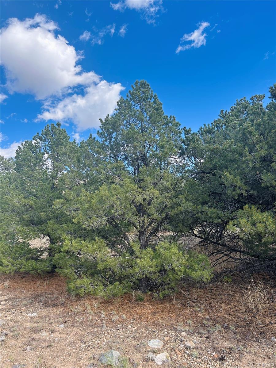 112 Eagles Nest Drive Mosca CO 81146