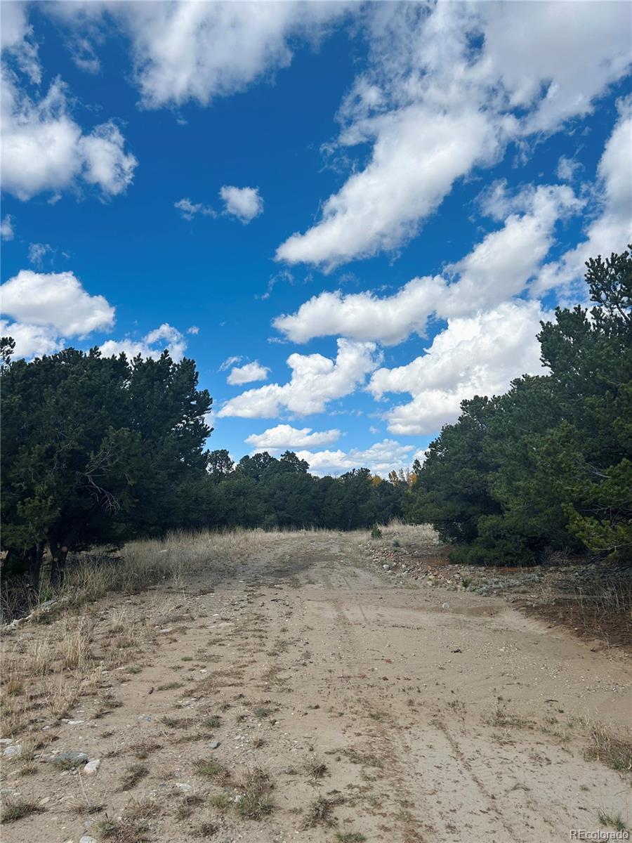 112 Eagles Nest Drive Mosca CO 81146
