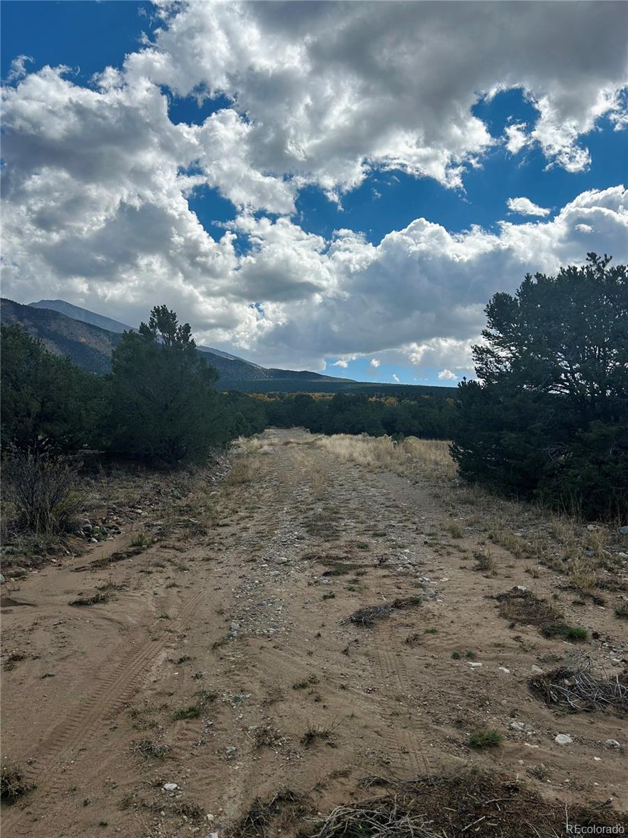 112 Eagles Nest Drive Mosca CO 81146