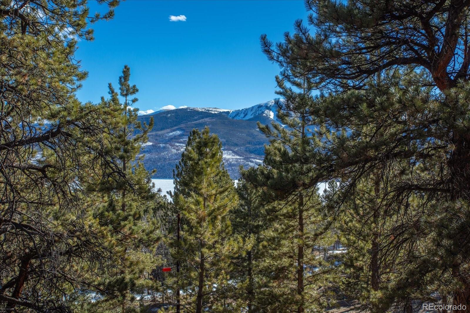 123 La Plata Peak Drive Twin Lakes CO 81251