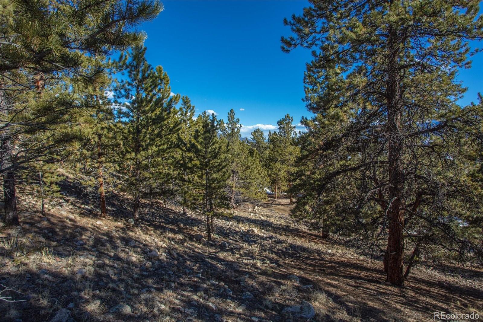123 La Plata Peak Drive Twin Lakes CO 81251