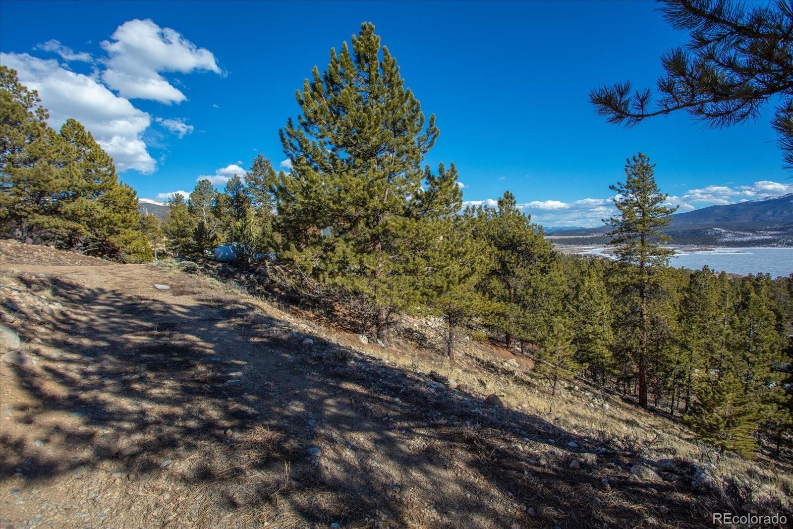 123 La Plata Peak Drive Twin Lakes CO 81251