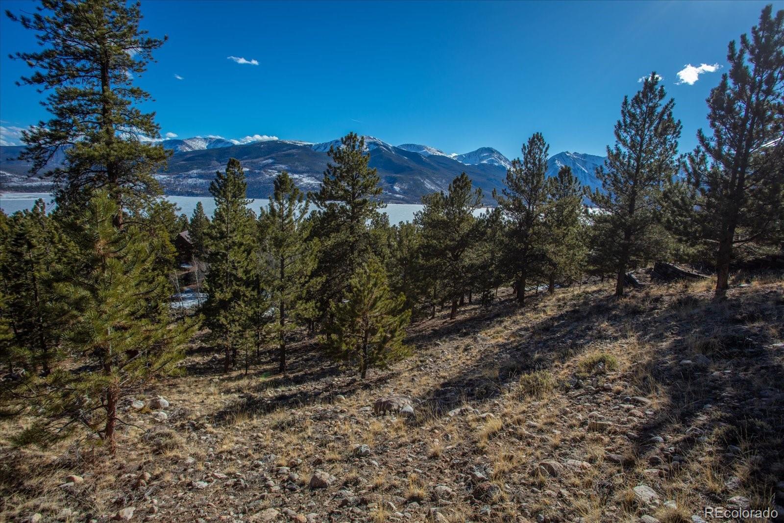 123 La Plata Peak Drive Twin Lakes CO 81251